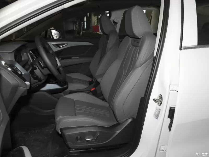 Слайд #9 | AUDI Q5 50 E-Tron QUATTRO Glory Brocade Suit