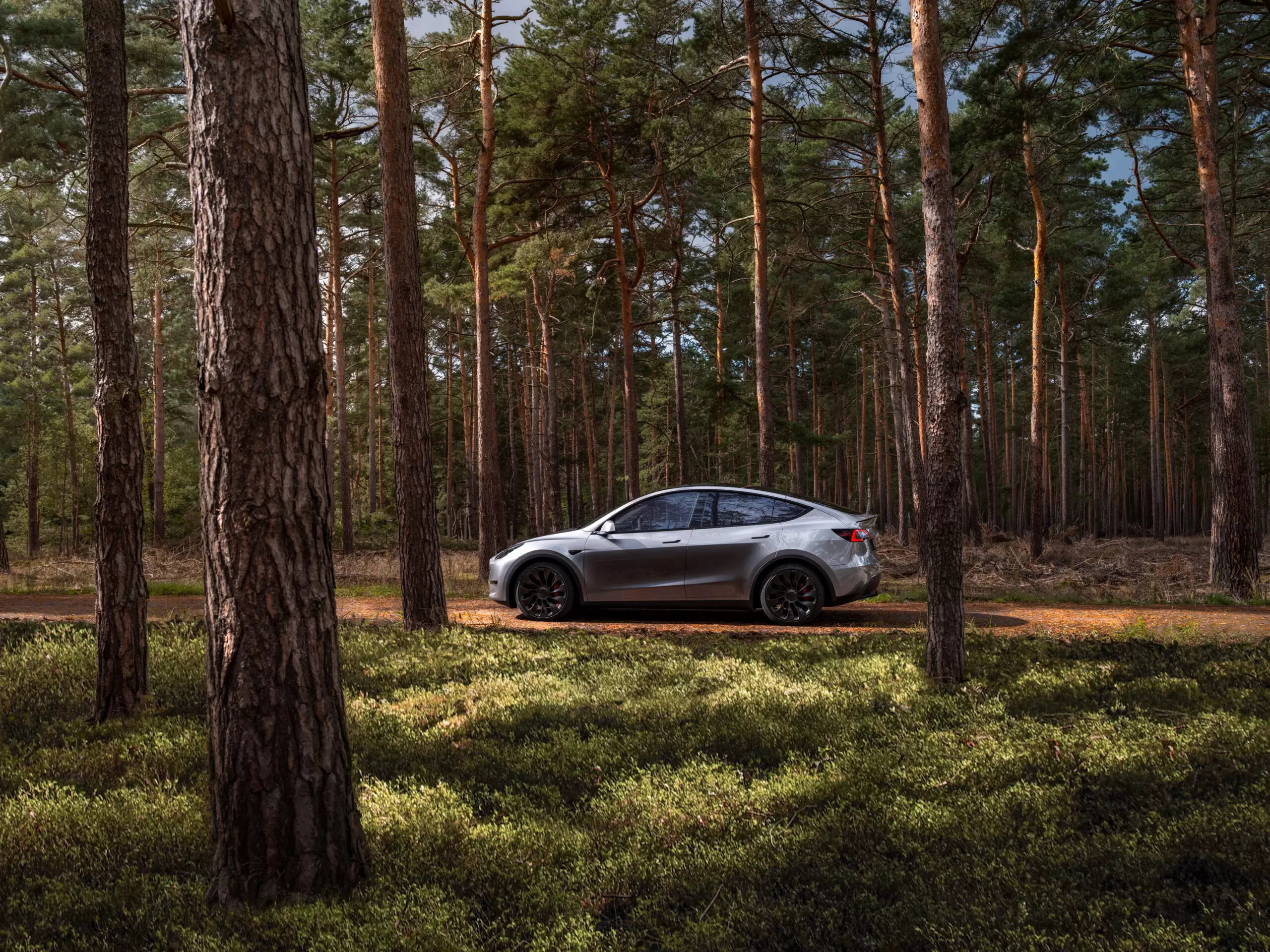 Слайд #10 | TESLA Model Y RWD