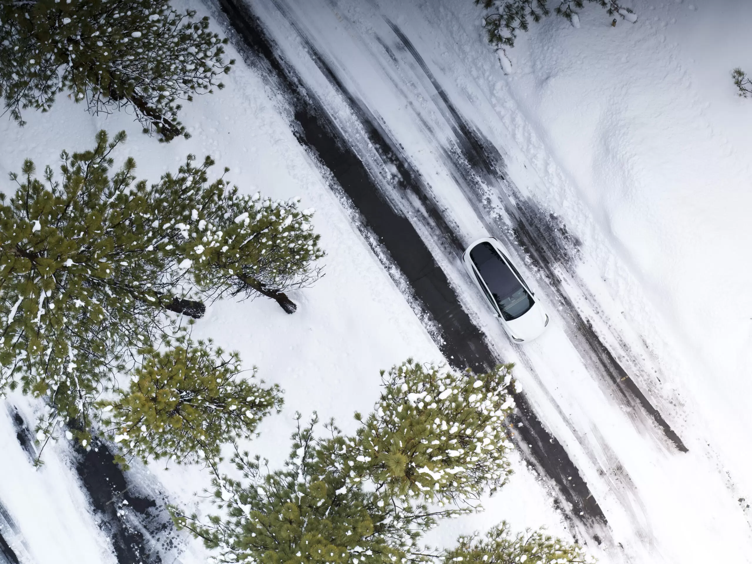 Слайд #14 | TESLA Model Y RWD