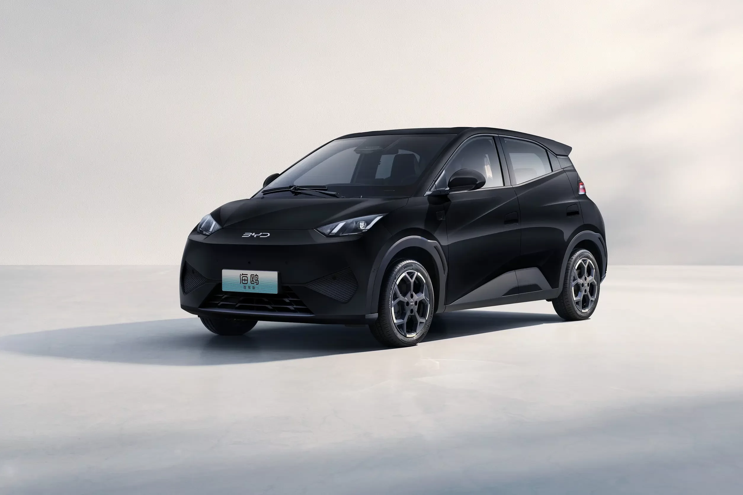 BYD Seagull 2025 Intelligent Driving Edition 405km Flying Edition Polar Night Black